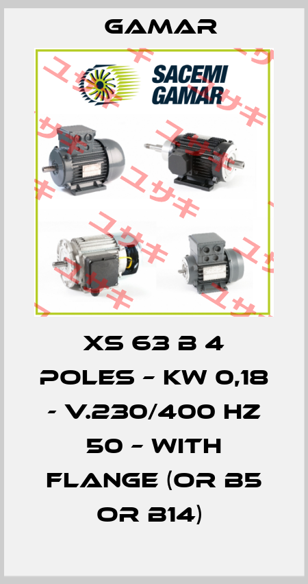 XS 63 B 4 poles – Kw 0,18 - V.230/400 Hz 50 – with flange (or B5 or B14)  Gamar