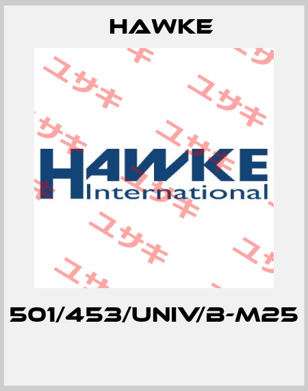 501/453/UNIV/B-M25  Hawke