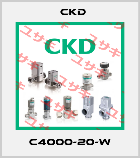 C4000-20-W Ckd