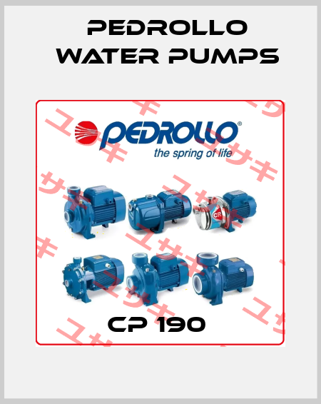 CP 190  Pedrollo Water Pumps