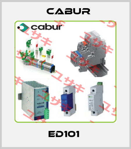 ED101  Cabur