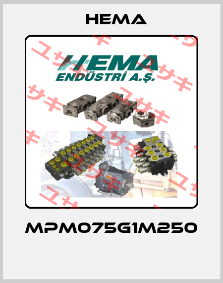 MPM075G1M250  Hema