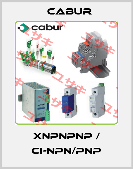 XNPNPNP / CI-NPN/PNP Cabur