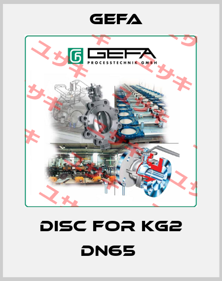 Disc for KG2 DN65  Gefa