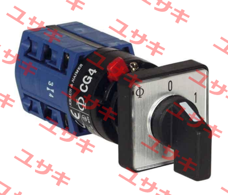 CG4 A201-600 FS2 Kraus & Naimer