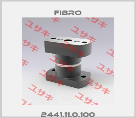 2441.11.0.100 Fibro