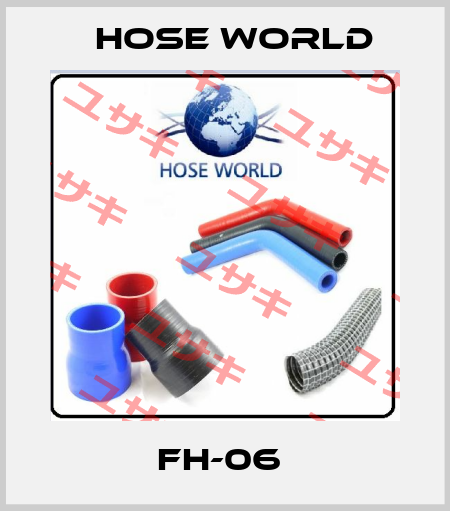 FH-06  HOSE WORLD