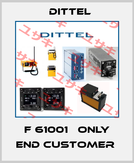F 61001   only end customer  Dittel