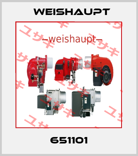 651101 Weishaupt
