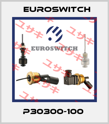 P30300-100  Euroswitch