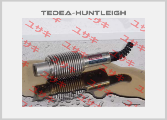 355-5kg 99999 Tedea-Huntleigh