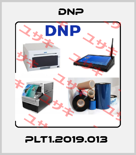 PLT1.2019.013  DNP