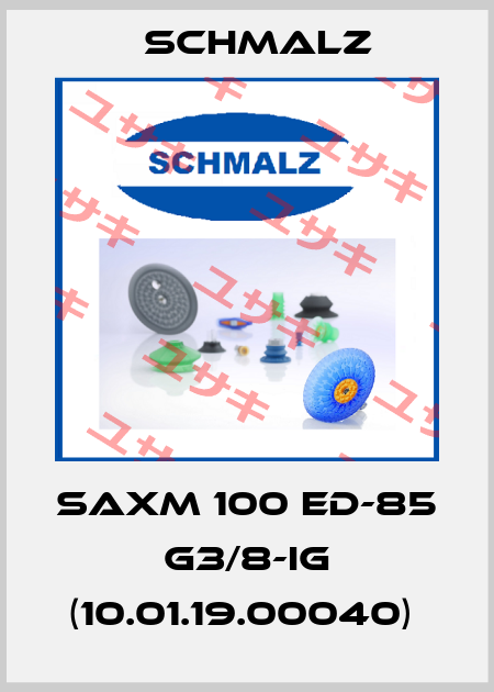SAXM 100 ED-85 G3/8-IG (10.01.19.00040)  Schmalz