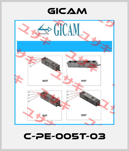 C-PE-005T-03 Gicam