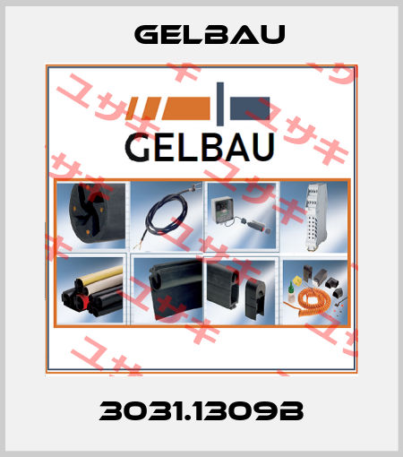 3031.1309B Gelbau