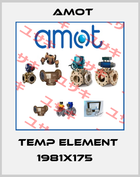 Temp Element  1981X175    Amot