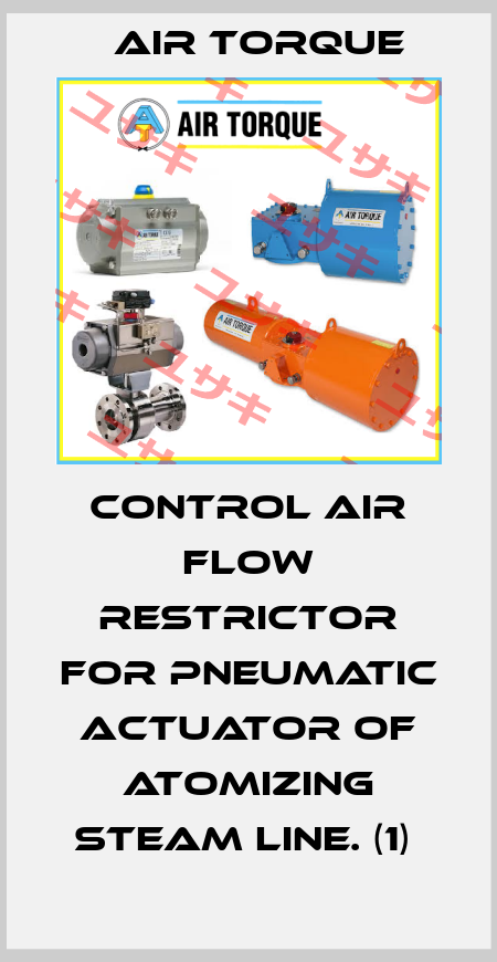 CONTROL AIR FLOW RESTRICTOR FOR PNEUMATIC ACTUATOR OF ATOMIZING STEAM LINE. (1)  Air Torque