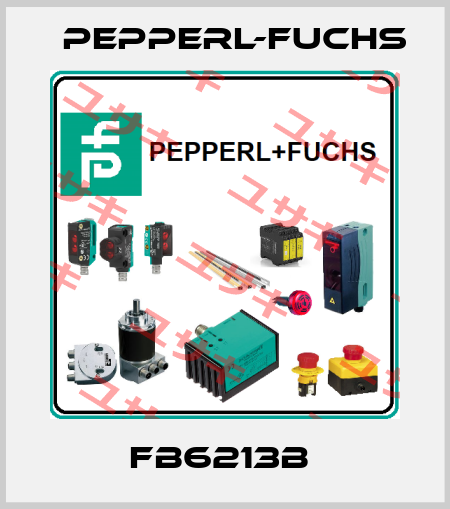 FB6213B  Pepperl-Fuchs