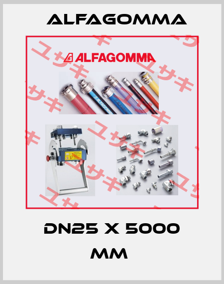 DN25 x 5000 mm  Alfagomma
