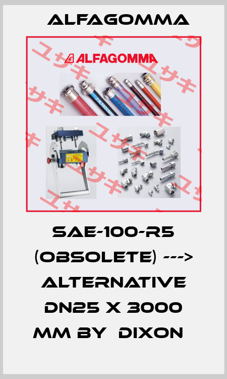 SAE-100-R5 (obsolete) ---> alternative DN25 x 3000 mm by  Dixon   Alfagomma