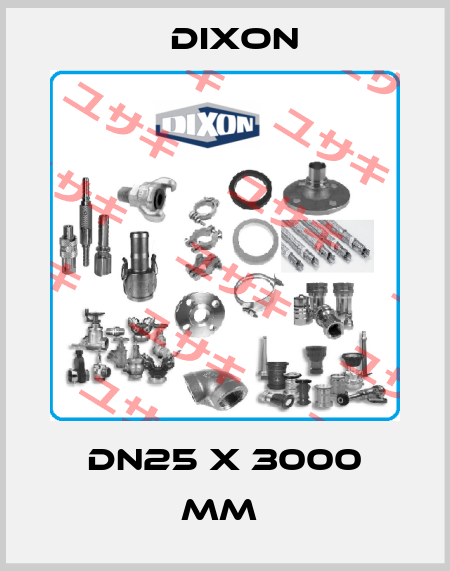 DN25 x 3000 mm  Dixon