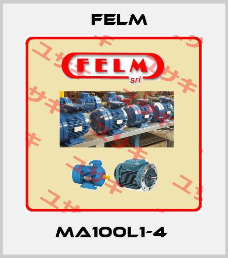 MA100L1-4  Felm