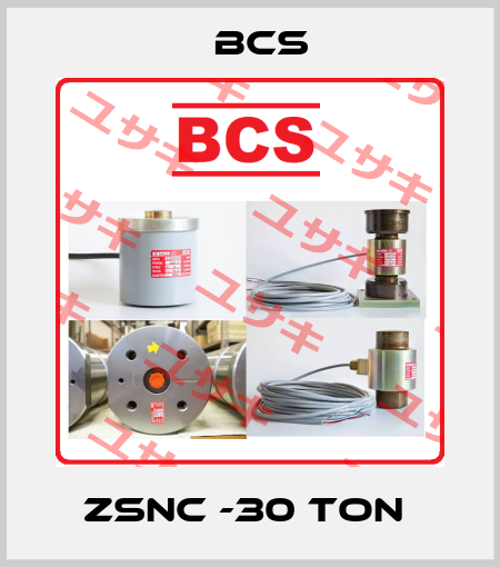 ZSNC -30 Ton  Bcs