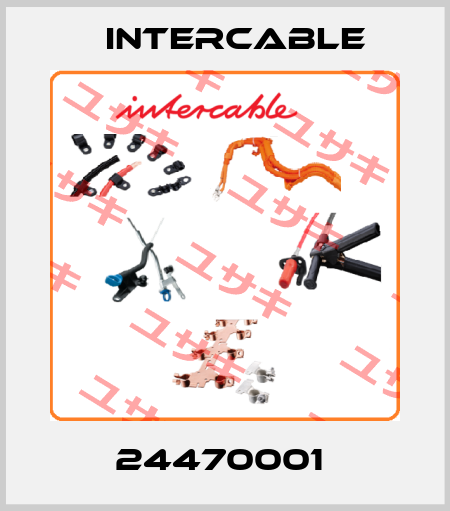 24470001  Intercable