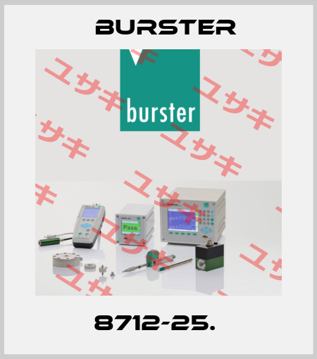 8712-25.  Burster