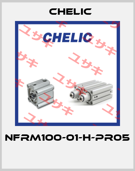 NFRM100-01-H-PR05  Chelic