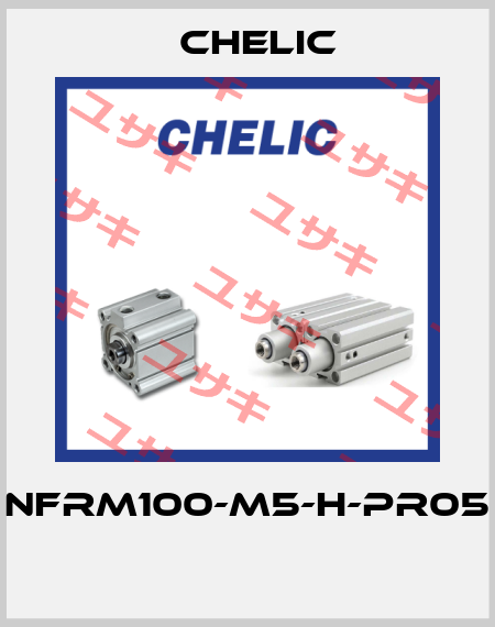 NFRM100-M5-H-PR05  Chelic
