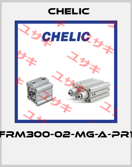 NFRM300-02-MG-A-PR10  Chelic