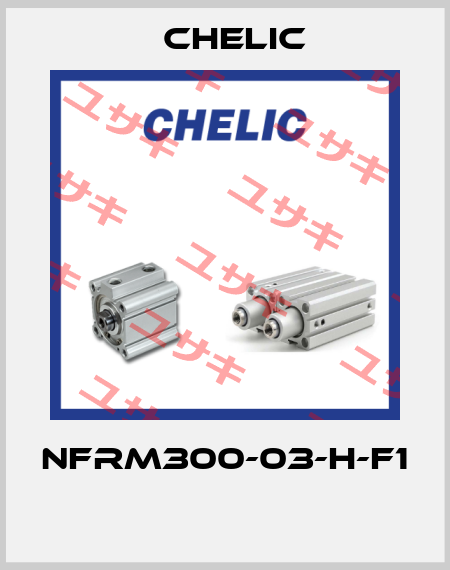 NFRM300-03-H-F1  Chelic