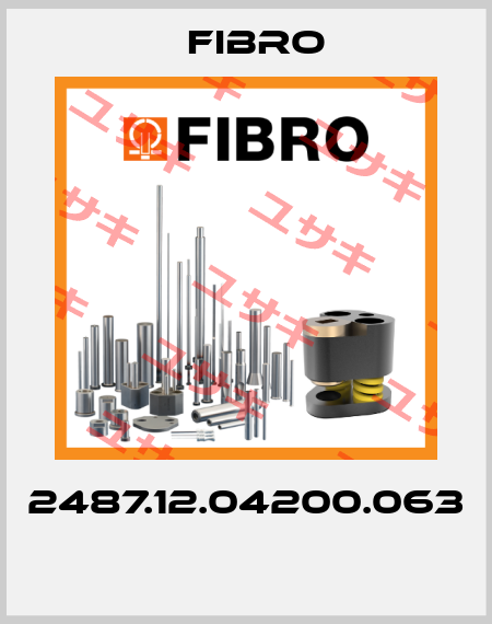 2487.12.04200.063  Fibro