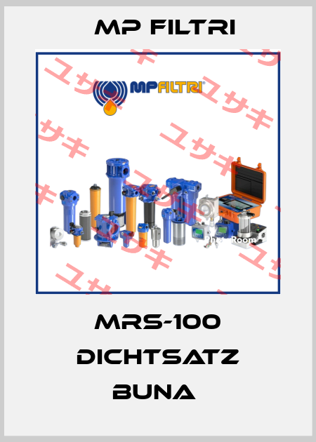 MRS-100 DICHTSATZ BUNA  MP Filtri