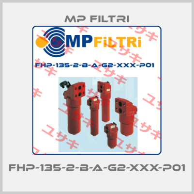 FHP-135-2-B-A-G2-XXX-P01  MP Filtri
