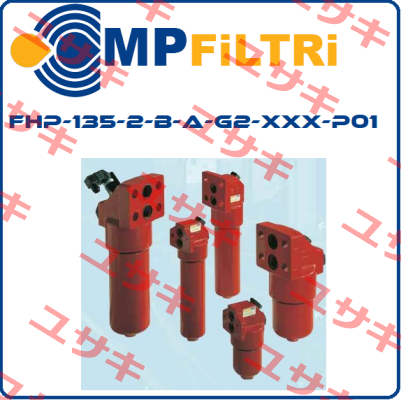 FHP-135-2-B-A-G2-XXX-P01  MP Filtri