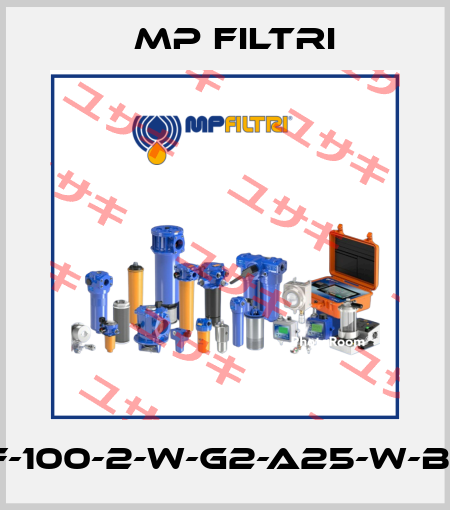MPF-100-2-W-G2-A25-W-B-P01 MP Filtri