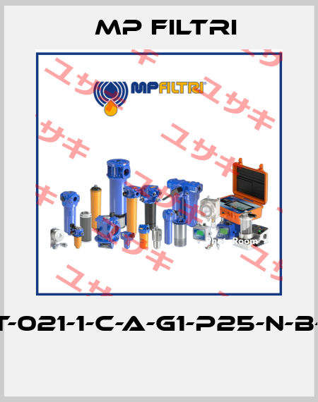 MPT-021-1-C-A-G1-P25-N-B-P01  MP Filtri
