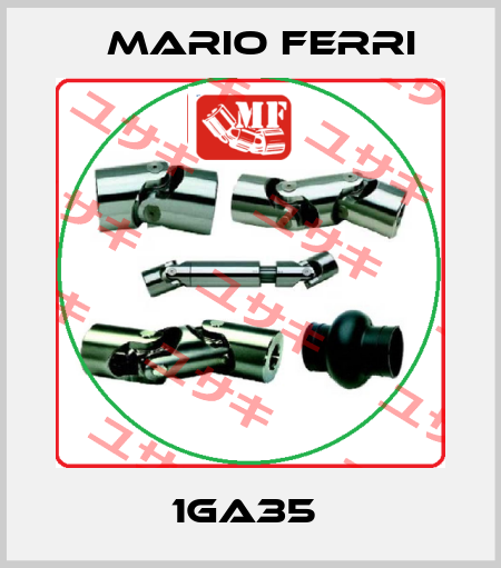 1GA35  Mario Ferri