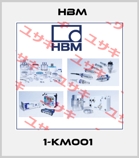 1-KM001  Hbm