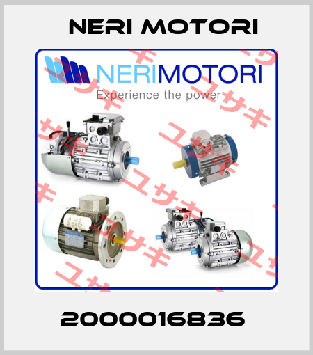 2000016836  Neri Motori