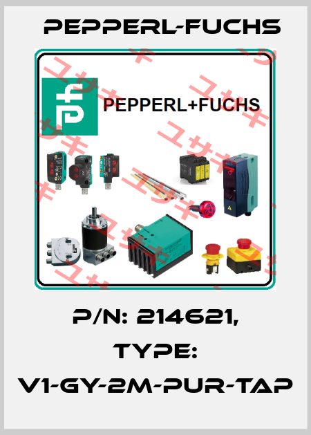 p/n: 214621, Type: V1-GY-2M-PUR-TAP Pepperl-Fuchs