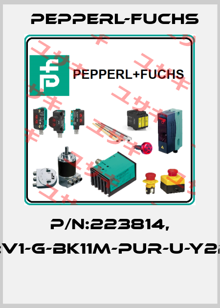 P/N:223814, Type:V1-G-BK11M-PUR-U-Y223814  Pepperl-Fuchs