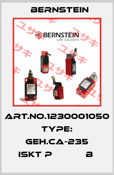 Art.No.1230001050 Type: GEH.CA-235 ISKT P            B  Bernstein