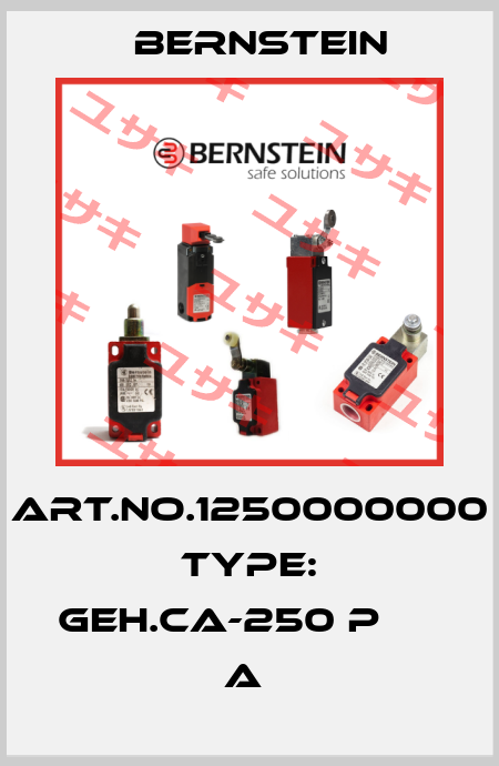 Art.No.1250000000 Type: GEH.CA-250 P                 A  Bernstein