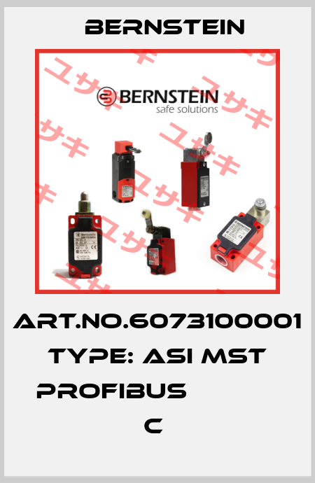 Art.No.6073100001 Type: ASI MST PROFIBUS             C  Bernstein