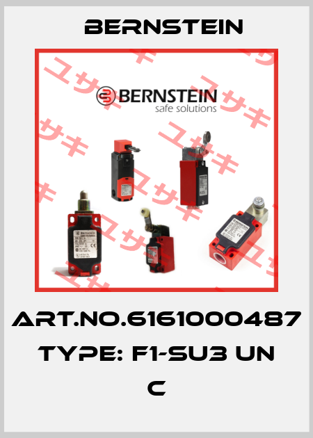 Art.No.6161000487 Type: F1-SU3 UN                    C Bernstein