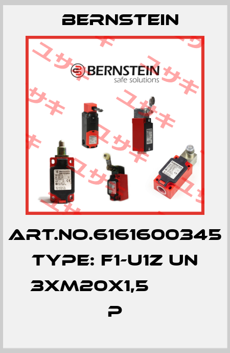 Art.No.6161600345 Type: F1-U1Z UN 3XM20X1,5          P Bernstein