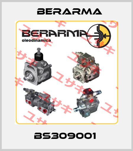 BS309001  Berarma